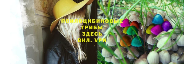 винт Беломорск